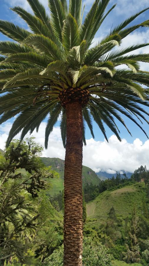 El Encanto Sorata Dış mekan fotoğraf